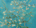 Almond Blossom fine art print