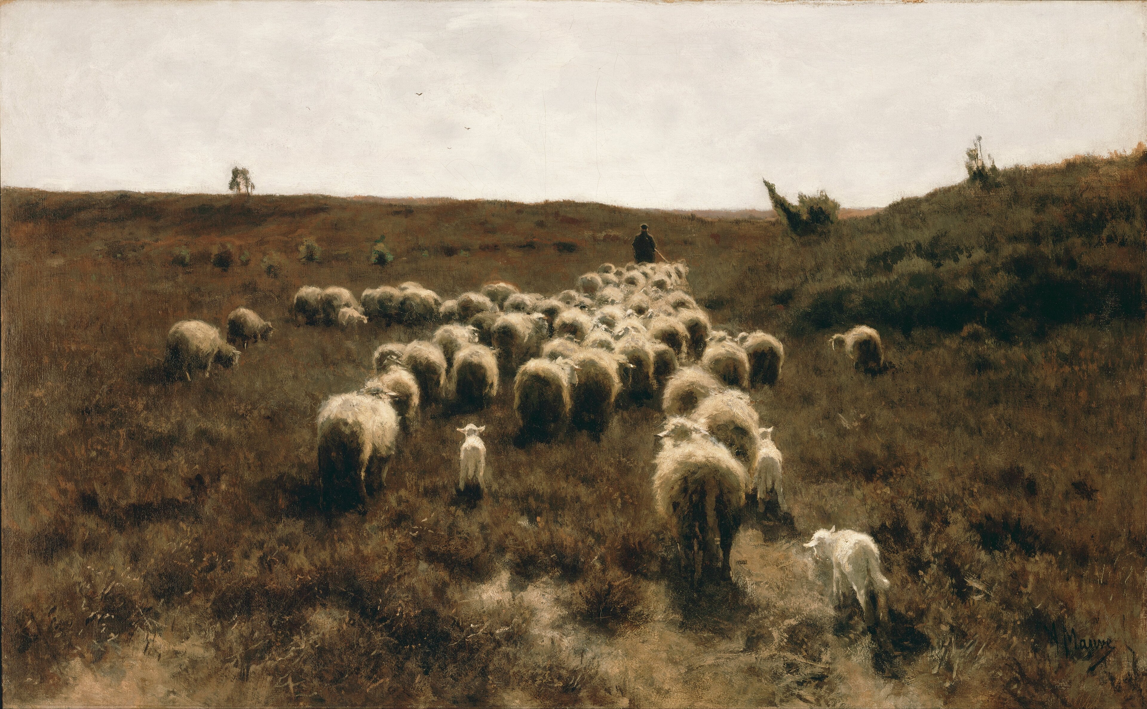 The Return of the Flock by Anton Mauve — canvas print artwork