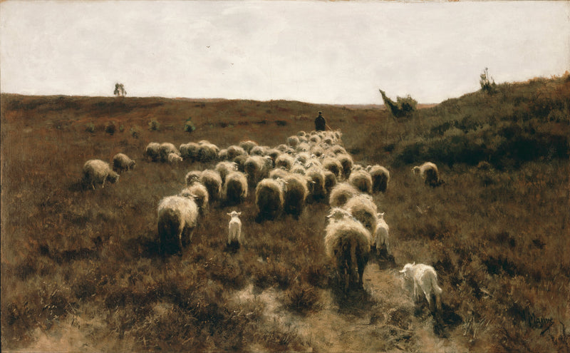 The Return of the Flock — Anton Mauve at 16 by 20 inches, shown to scale
