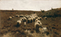 The Return of the Flock fine art print