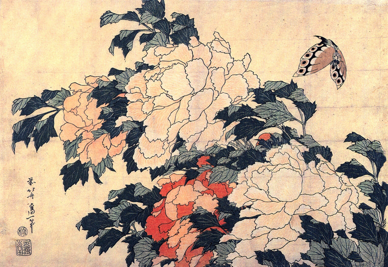 Peonies and Butterfly — Katsushika Hokusai at 16 by 20 inches, shown to scale