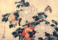 Peonies and Butterfly fine art print
