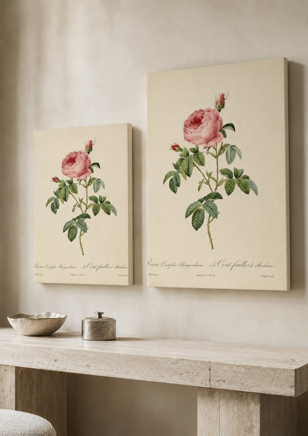 Rosa Centifolia canvas print in two sizes styled in a warm minimal interior